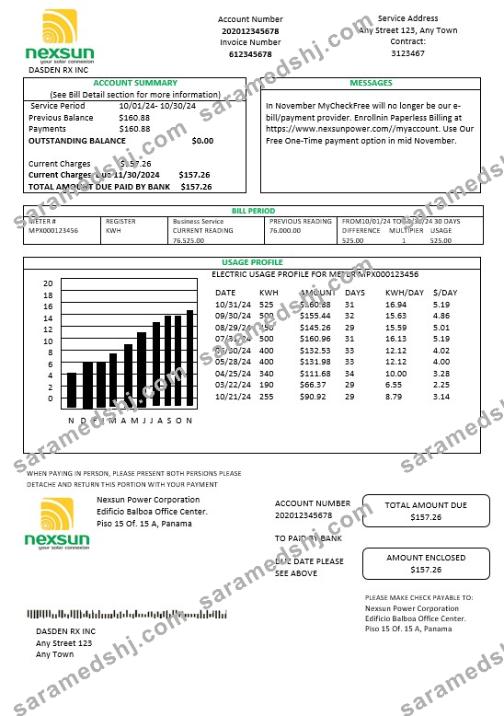 Panama Nexsun Power Corporation electricity business utility bill Word and PDF template